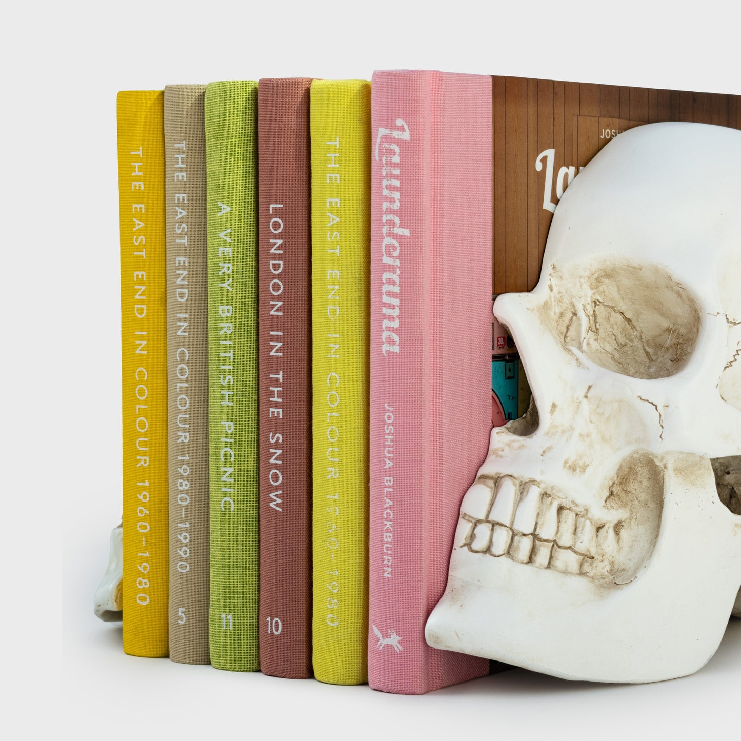 Skull Bookends