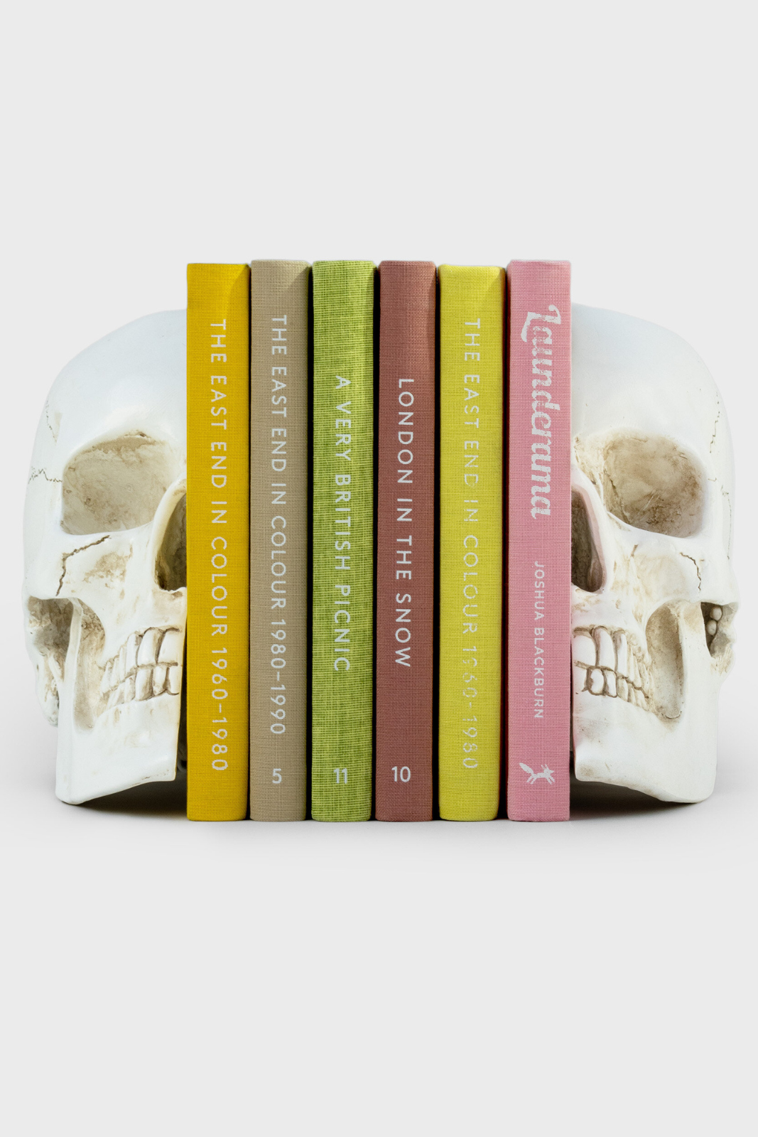 Skull Bookends
