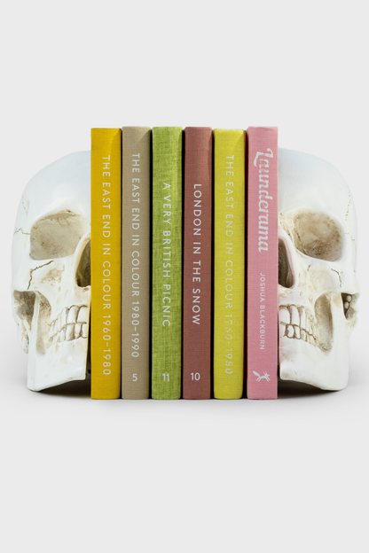 Skull Bookends
