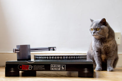 DJ Cat Scratcher