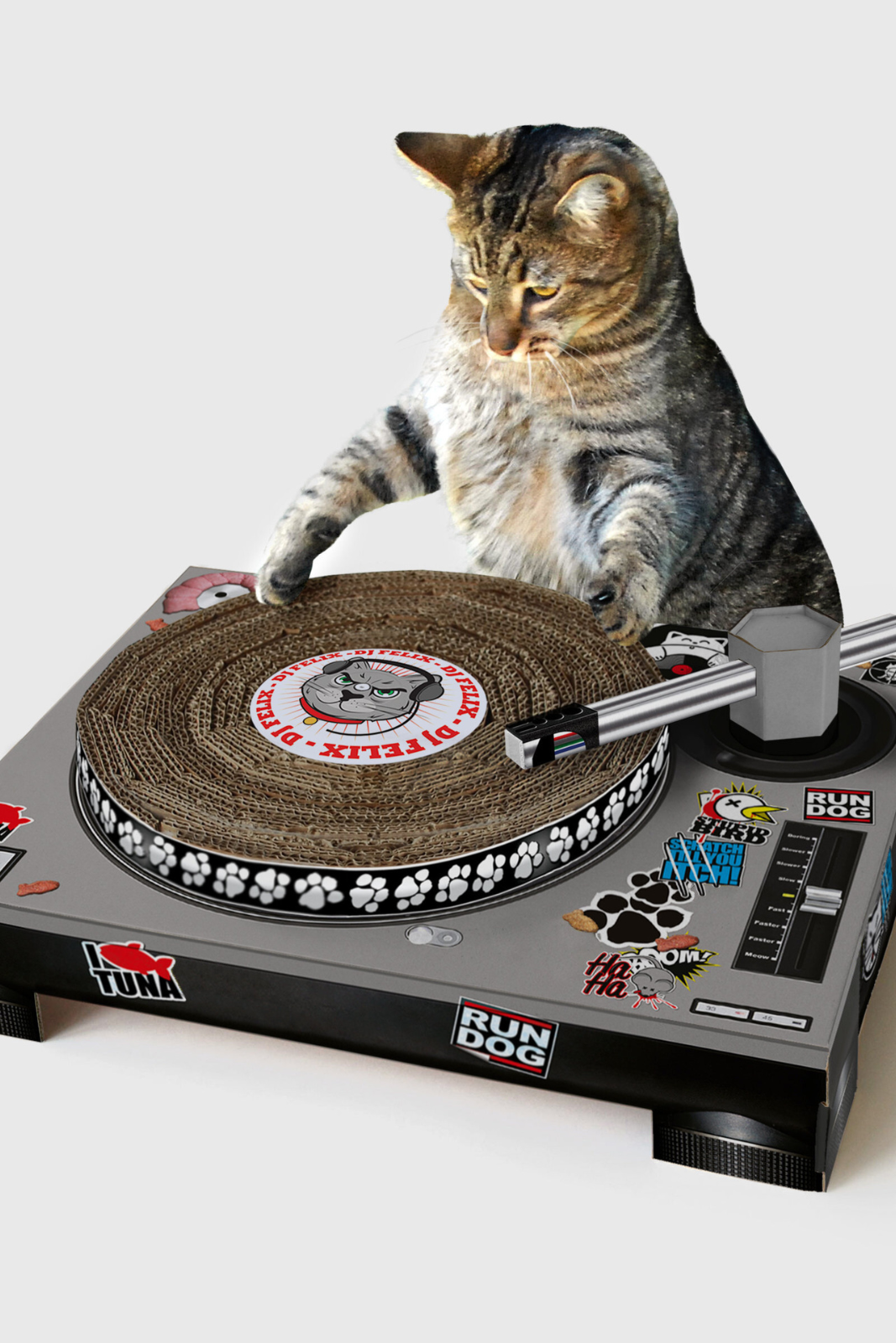 DJ Cat Scratcher